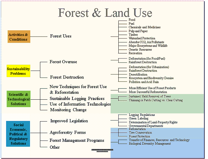 Forest and Land Use